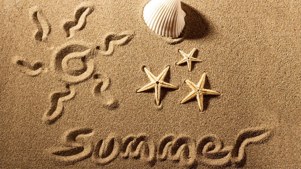 Best books to read during summer vacation